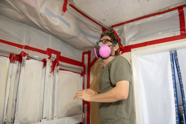 Best Commercial Mold Inspection  in Skidaway Island, GA
