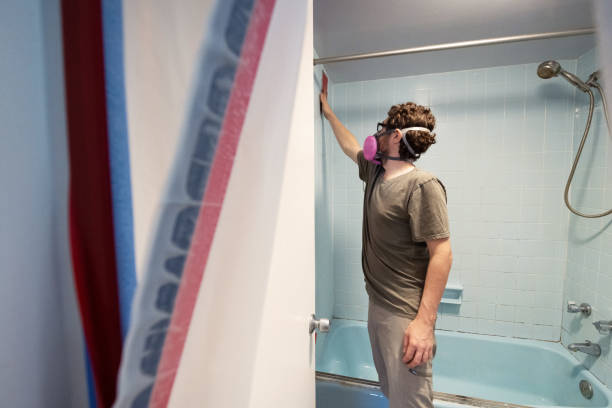 Reliable Skidaway Island, GA Mold Removal Solutions