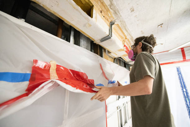 Best Black Mold Removal  in Skidaway Island, GA