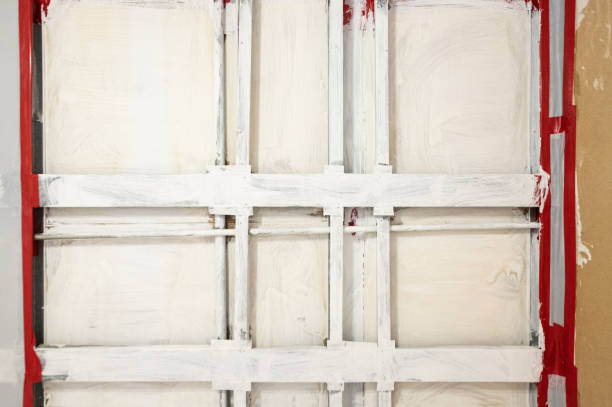 Trusted Skidaway Island, GA Mold Removal Experts