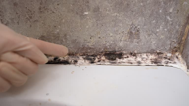 Best Indoor Air Quality Assessment  in Skidaway Island, GA